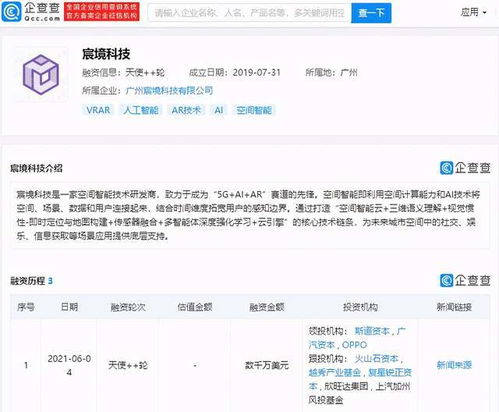 广告剩余与信息系统集成服务的协同优化